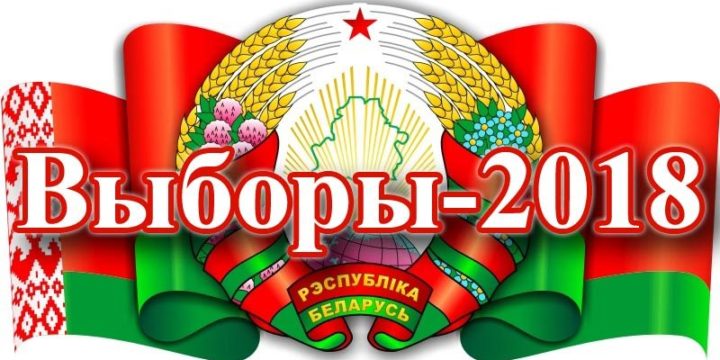 Две окружные комиссии по выборам в областной Совет депутатов сформированы в Вороновском районе