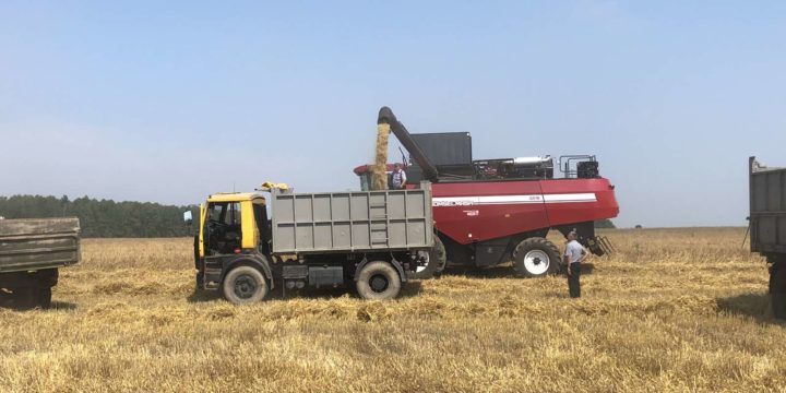 Хлеборобы нашего предприятия первыми в Вороновском районе завершили уборку зерновых и зернобобовых культур