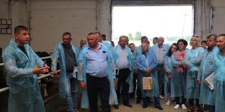 В Вороновском районе прошла взаимопроверка по соблюдению норм технологического регламента на молочно-товарных фермах сельхозпредприятий