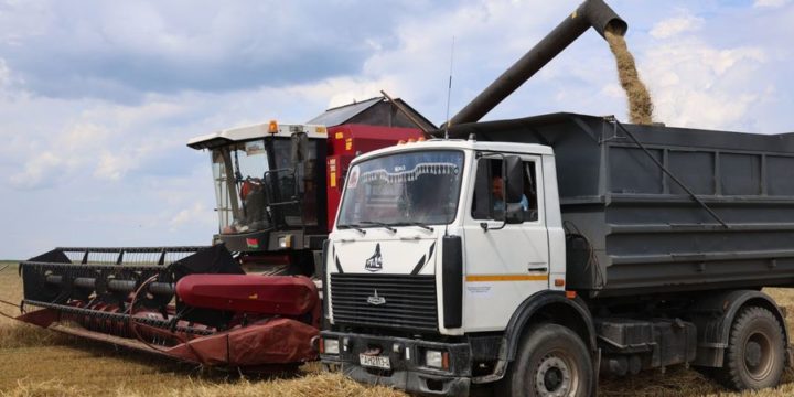 В Вороновском районе идет уборка озимого и ярового ячменя, овса