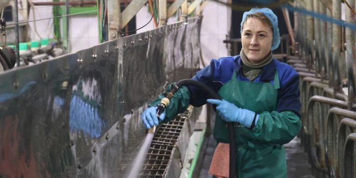 Секреты большого молока раскрыли на молочно-товарном комплексе «Поволока» в КСУП «Больтишки»