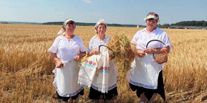 Традиционным обрядом «Зажинки» хлеборобы сельхозпредприятия «Больтишки» дали старт уборочной страде на Вороновщине