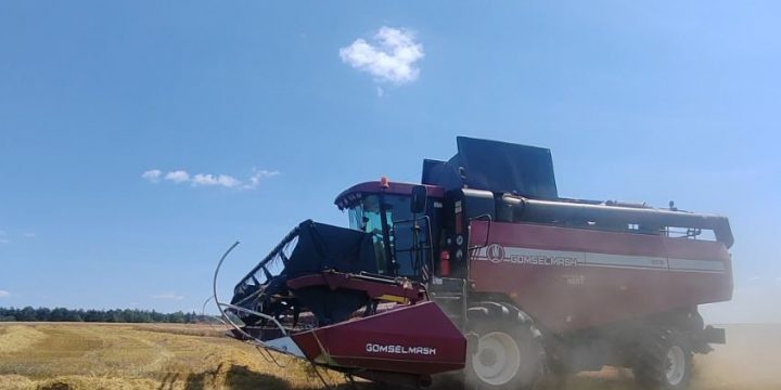 В КСУП «Больтишки» приступили к уборке ярового ячменя