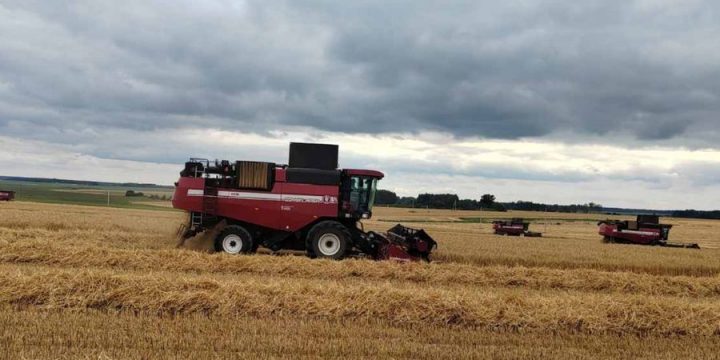 Лидеры жатвы в Вороновском районе на 20 августа